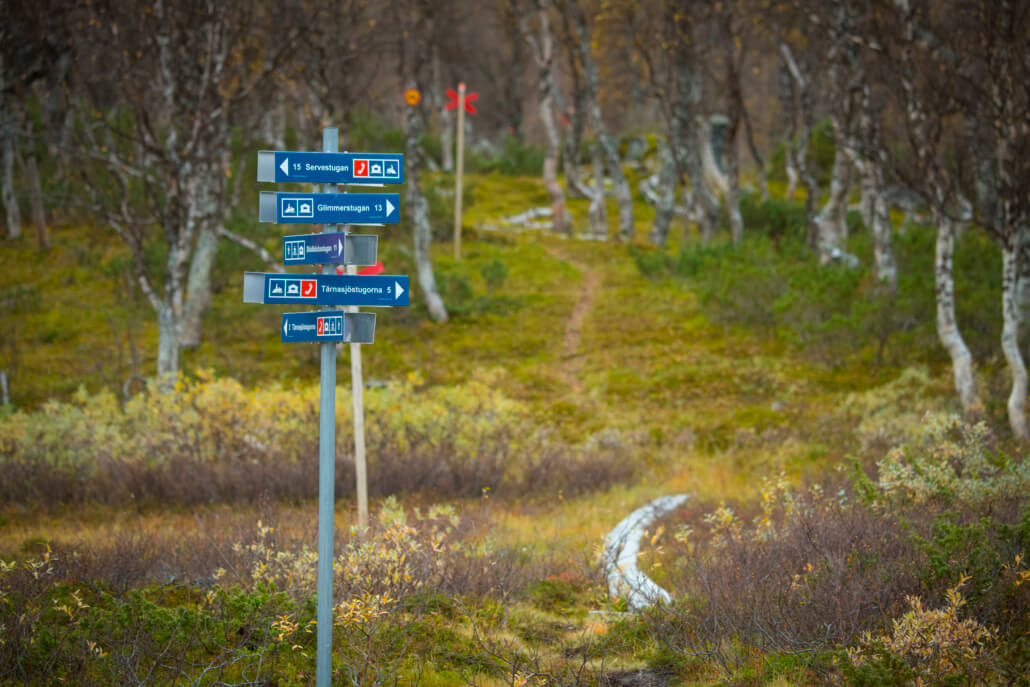 En ledskylt med fem olika platser utpekade står vid en led framför en fjällbjörkskog.