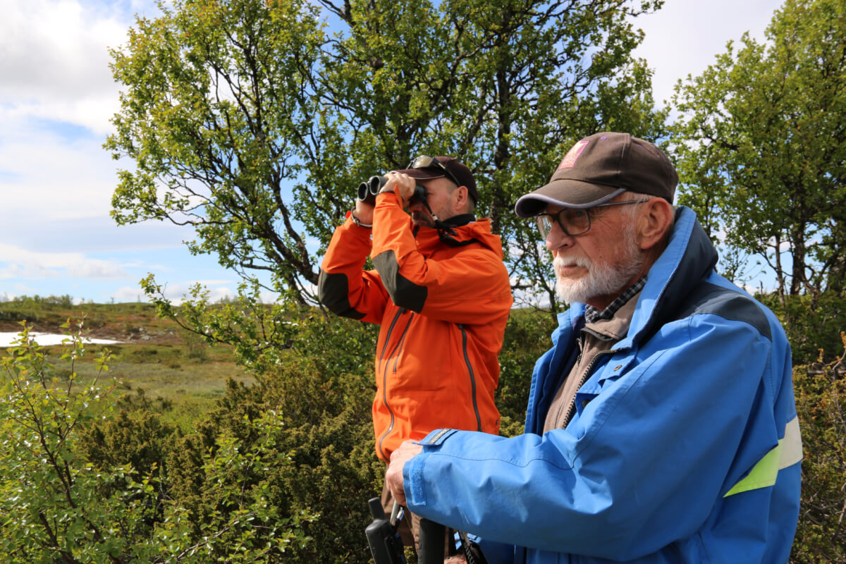 Martin och Sören kollar efter fåglar på fjället.