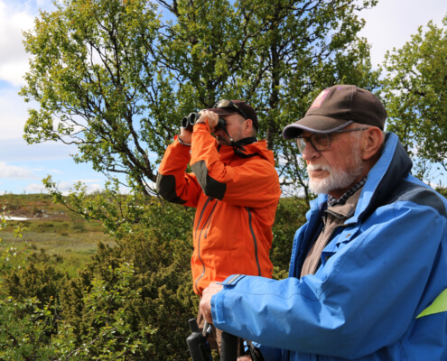 Martin och Sören kollar efter fåglar på fjället.