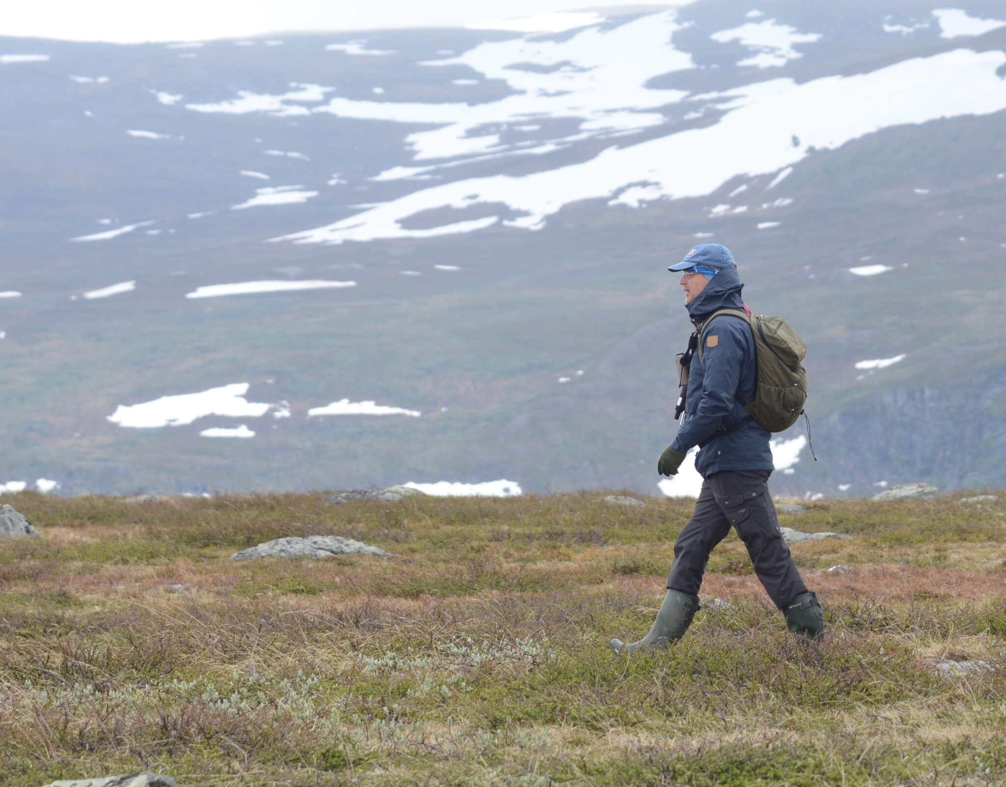 Person går på kalfjäll. Fjäll syns i hela bakgrunden.