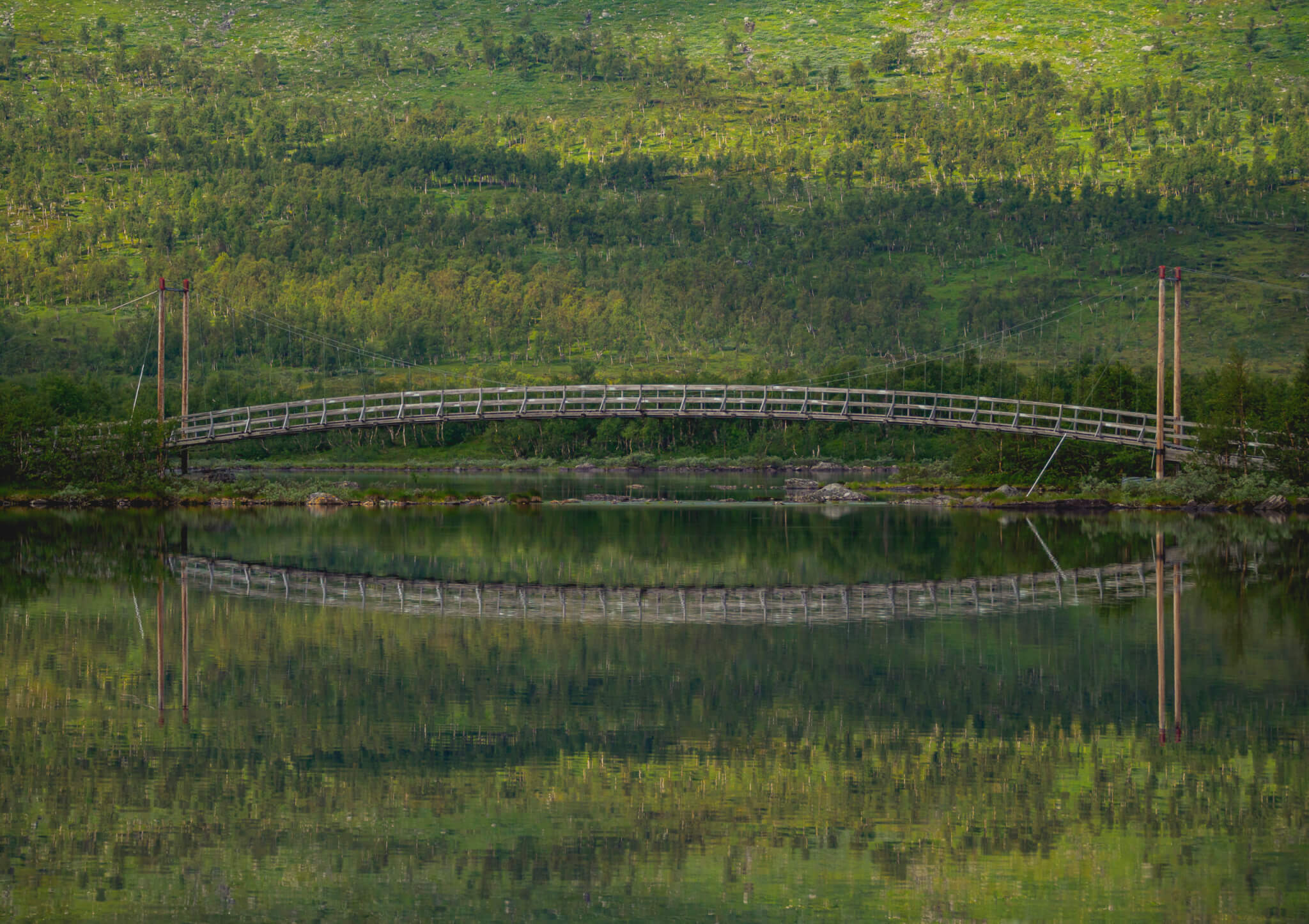 Tärnasjöbro. Bron speglas mot sjö och grön fjällbjörkskog.