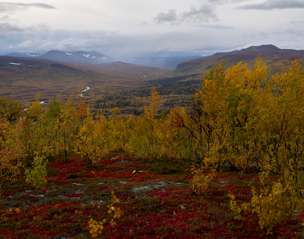 Fjälldal i höstskrud.