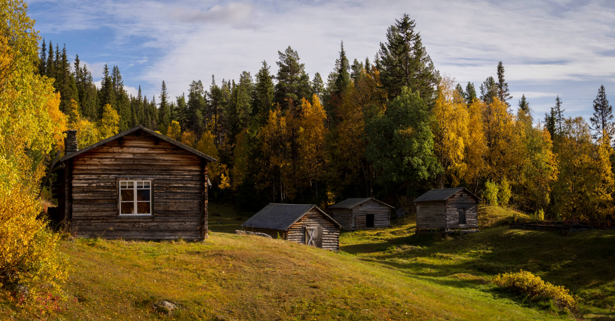 Grå timrade bodar står på en nyklippt äng. En höstig skog omger ängen.